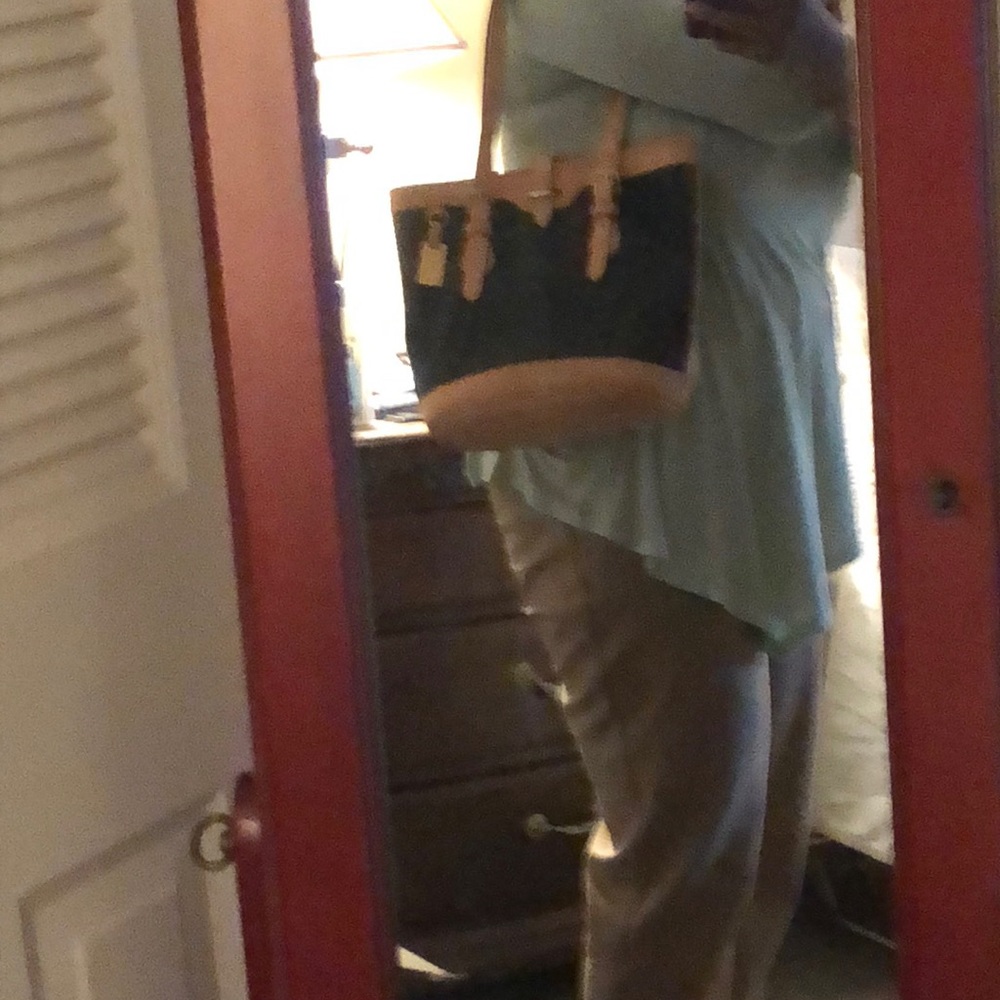 Dooney & Bourke tall satchel